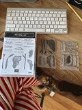 Stampin' Up! Lasting Lily Photopolymer Stamp Set