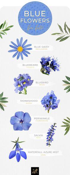 30 Types of Blue Flowers - FTD.com Flower Delivery