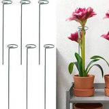 Plant Stakes For Flowers Single Lily Peony Plant Stakes Rose Flower Stem