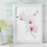 White Orchid Watercolour A5 Art Print