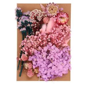 Natural Dried Flowers Multiple Real Dried Pressed Flowers Plant Purple Style