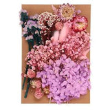 Natural Dried Flowers Multiple Real Dried Pressed Flowers Plant Purple Style