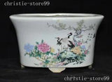 Wucai porcelain Crane rich peony bird peach blossom flower Bonsai Potted plants