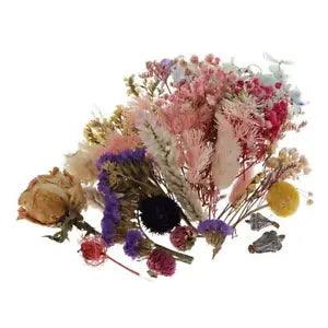 Bulk Natural Dried Flower Pressed Leaves for DIY  Making Supplies