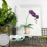 Original Orchid Watercolor Painting - Painting titled, 