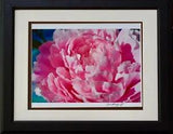 Gorgeous Feeling Beautiful Peony Flower. Photography by Audrey