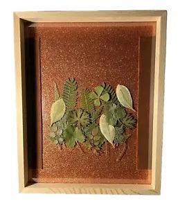 Dried Pressed Leaves In Wood Frame
