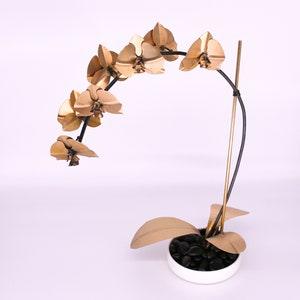 Orchid #1 Brass