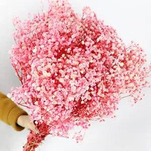 Dried-Babys-Breath-Flowers-Bouquet 17.2In 2500+ Pink Flower Natural Gypsophil...