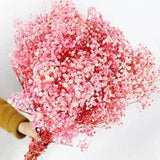 Dried-Babys-Breath-Flowers-Bouquet 17.2In 2500+ Pink Flower Natural Gypsophil...