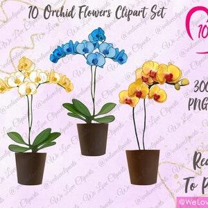 Flower Clipart: Orchid Plant for Best friend Clipart and for Wedding Invitations (WLC028)