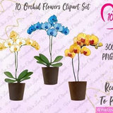 Flower Clipart: Orchid Plant for Best friend Clipart and for Wedding Invitations (WLC028)
