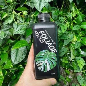 Foliage Focus - 1L - premium plant food for foliage and aroids.