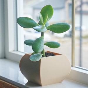 Orchid Planter Pot- Classic Succulent Planter- Japanese Orchid Pot- Office Desk Decor - Pen / Pencil Holder- Indoor Home Decor