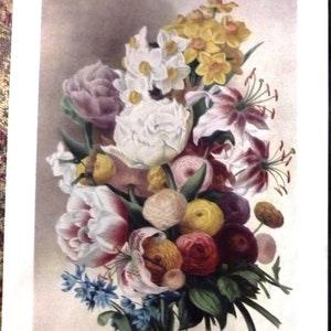 Vintage 1800s SPRING FLOWERS Print- Elisa Champin French Watercolor Artist- Peonies Ranunculus Daffodil Tulip Bouquet- 19th Cent Art- 14x 10