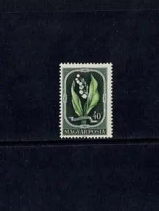 HUNGARY MAGYAR POSTA 1951 FLOWERS 40fi LILY OF THE VALLEY MOUNTED MINT
