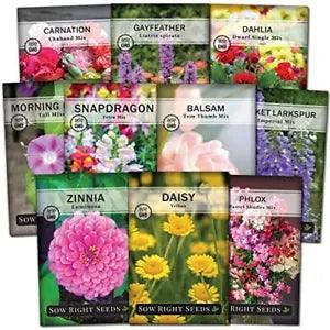 '- Flower Seed Collection - Carnation, Gayfeather, Dahlia, Morning Glory,