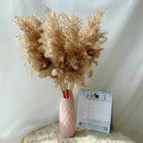 pampas grass decor plants home wedding decor dried flowers Bouquet feather