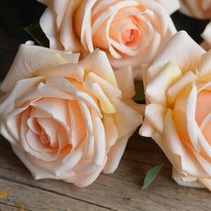 Chamagne Peach Real Touch Roses, Soft Yellow Garden Roses, Artificial Roses,  Artificial Roses, DIY Wedding Bouquets, Vintage Colors