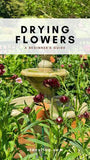 How to Dry Flowers in a Few Easy Steps Flower Delivery