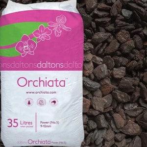 Orchiata? bark - power (medium)