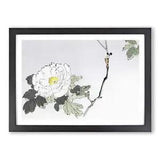 Blooming Peony Framed Wall Art Poster Print Home Decor Picture Large