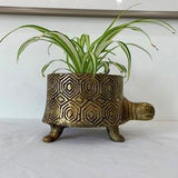 Brass Turtle Footed Planter Pot