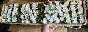 2 dz.  CARNATIONS Silk flower lot 3 picks per stem 72 heads & buds CREAMY WHITE
