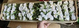2 dz.  CARNATIONS Silk flower lot 3 picks per stem 72 heads & buds CREAMY WHITE