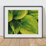 After The Rain Professional Photography Art Print, Green Leaf Print, Original Macro Photography