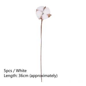 5 Heads Natural Dried Cotton Flower Home Decor Artificial Plants Cotton Stem