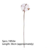 5 Heads Natural Dried Cotton Flower Home Decor Artificial Plants Cotton Stem
