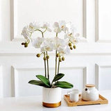 Vicky Yao Faux Floral - Exclusive Design Artificial  4 Stems Phalaenopsis Orchid Flowers Arrangement