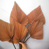 Bronze Dried Flower Palm Leaf Branch Wedding Floral Photo Prop Layout Home Decor