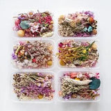 1 Box Dried Flower Plant Candle Epoxy Resin Jewelry Making Aromatherapy DIY