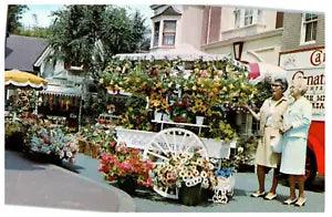 Disneyland Flower Mart Main Street 60s Older Women Carnation Milk Postcard CA Ad