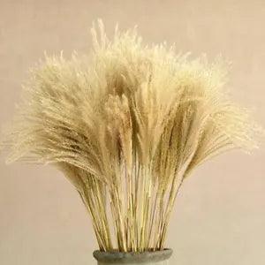 Natural Dried Flower Reed Flower Bouquet Home D???cor Small Pampas Grass Wedding