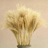 Natural Dried Flower Reed Flower Bouquet Home D???cor Small Pampas Grass Wedding