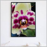 Orchid Do It Yourself Art