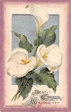 1916 Winsch Easter Postcard of Beautiful Calla Lilies