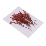 20 Pieces Dyed Red Limonium Real Dried Flower Pressed Dried Flower for Craft