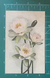 Antique 1912 Water Lily Flowers Postcard