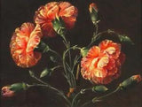 Oil painting still life flower Carnations-Johan-Laurentz handmade in oil canvas