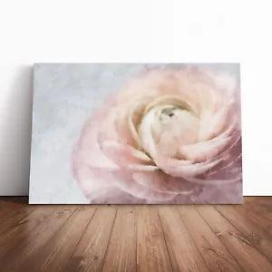 Pink Ranunculus Flower Canvas Print Wall Art Framed Picture Home Decor Large