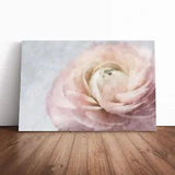 Pink Ranunculus Flower Canvas Print Wall Art Framed Picture Home Decor Large