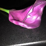 6 extra large real touch calla lilies