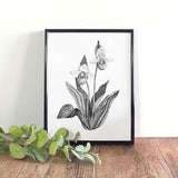 Pink & White Lady Slipper Botanical Illustration, Botanical Wall Art, Black and White Orchid Printable, Minnesota State Flower