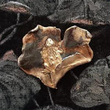Modernist Frog Lily Pad Leaf Brooch Pendant Oxidized Brushed Gold Reptile Sculpt