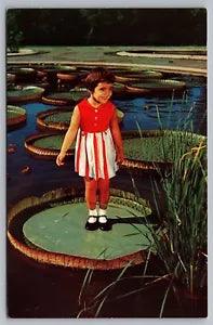 Longwood Gardens Kennett Square PA Little Girl on Giant Water Lily Postcard