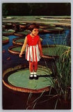 Longwood Gardens Kennett Square PA Little Girl on Giant Water Lily Postcard